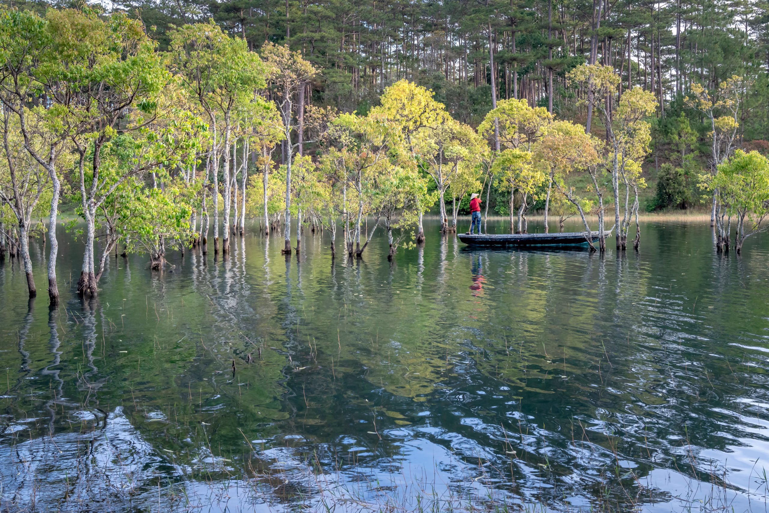 Enjoy a Fishing Trip on Lake St. John