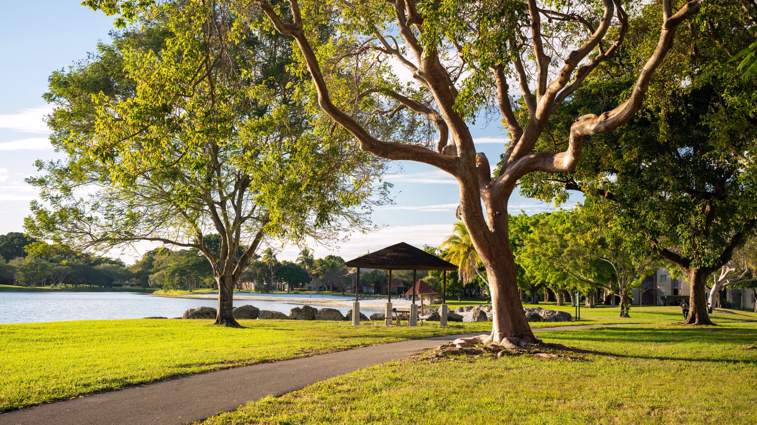 Explore the Stunning Views from Bluff Park