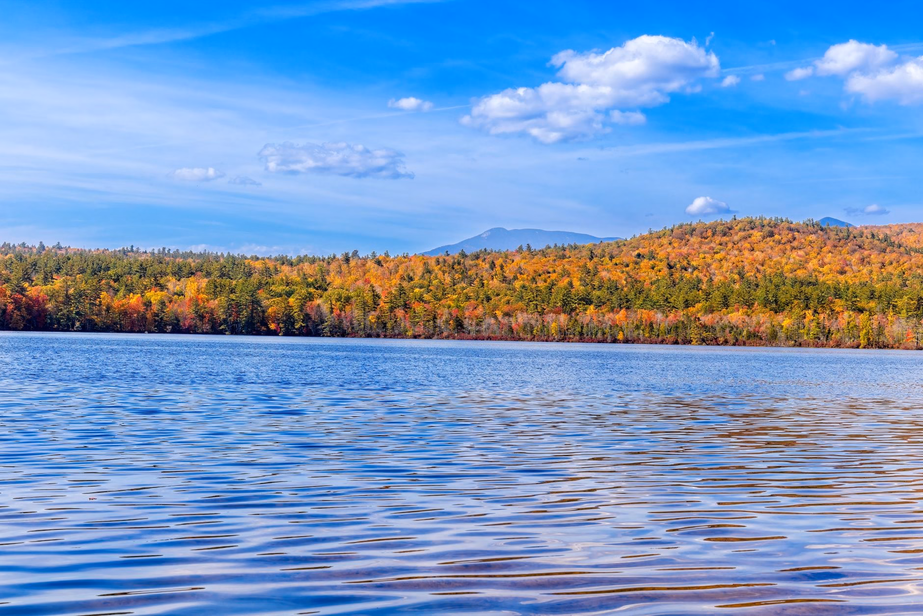 25 Best and Fun things to do in lincoln nh