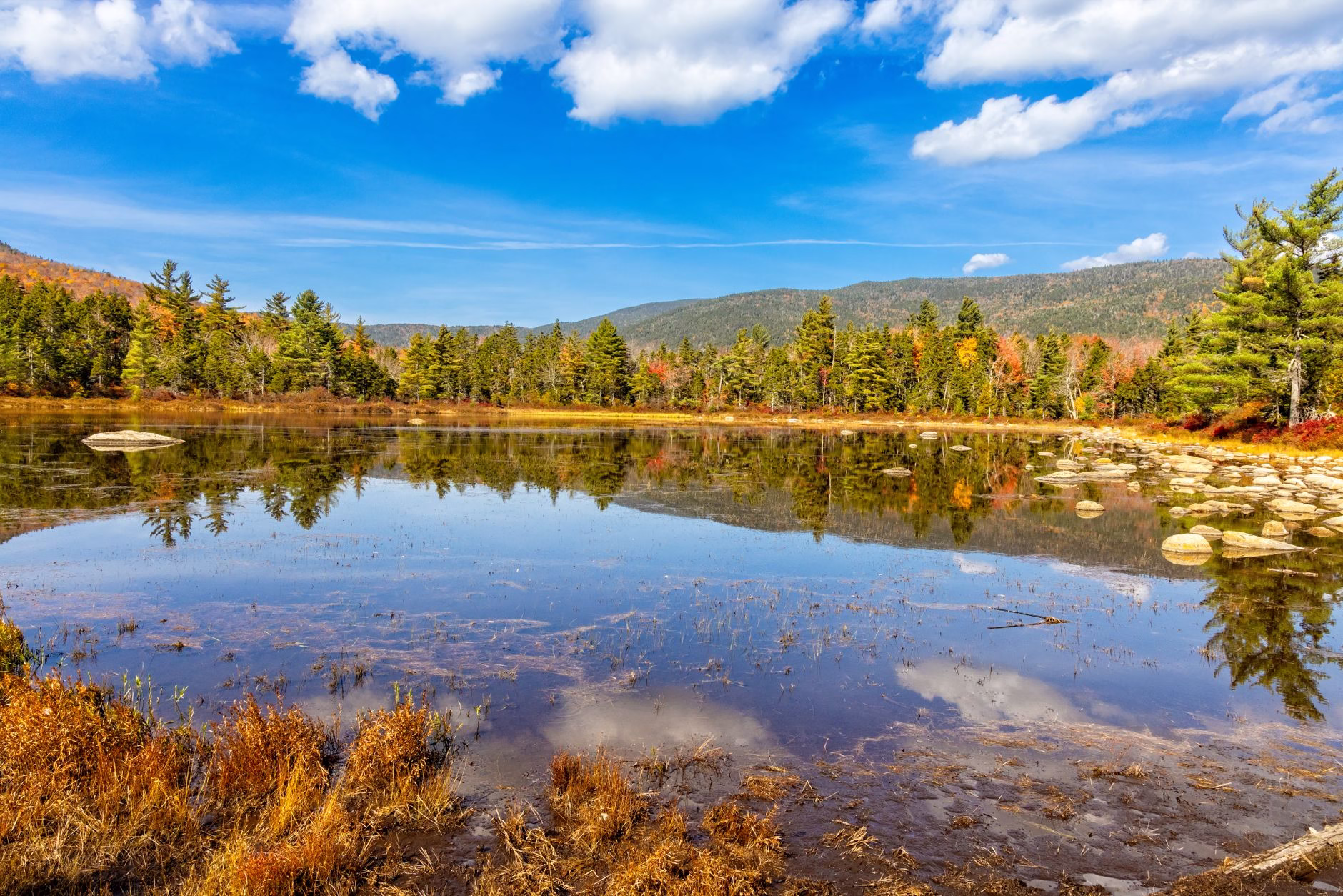 25 Best and Fun things to do in new england