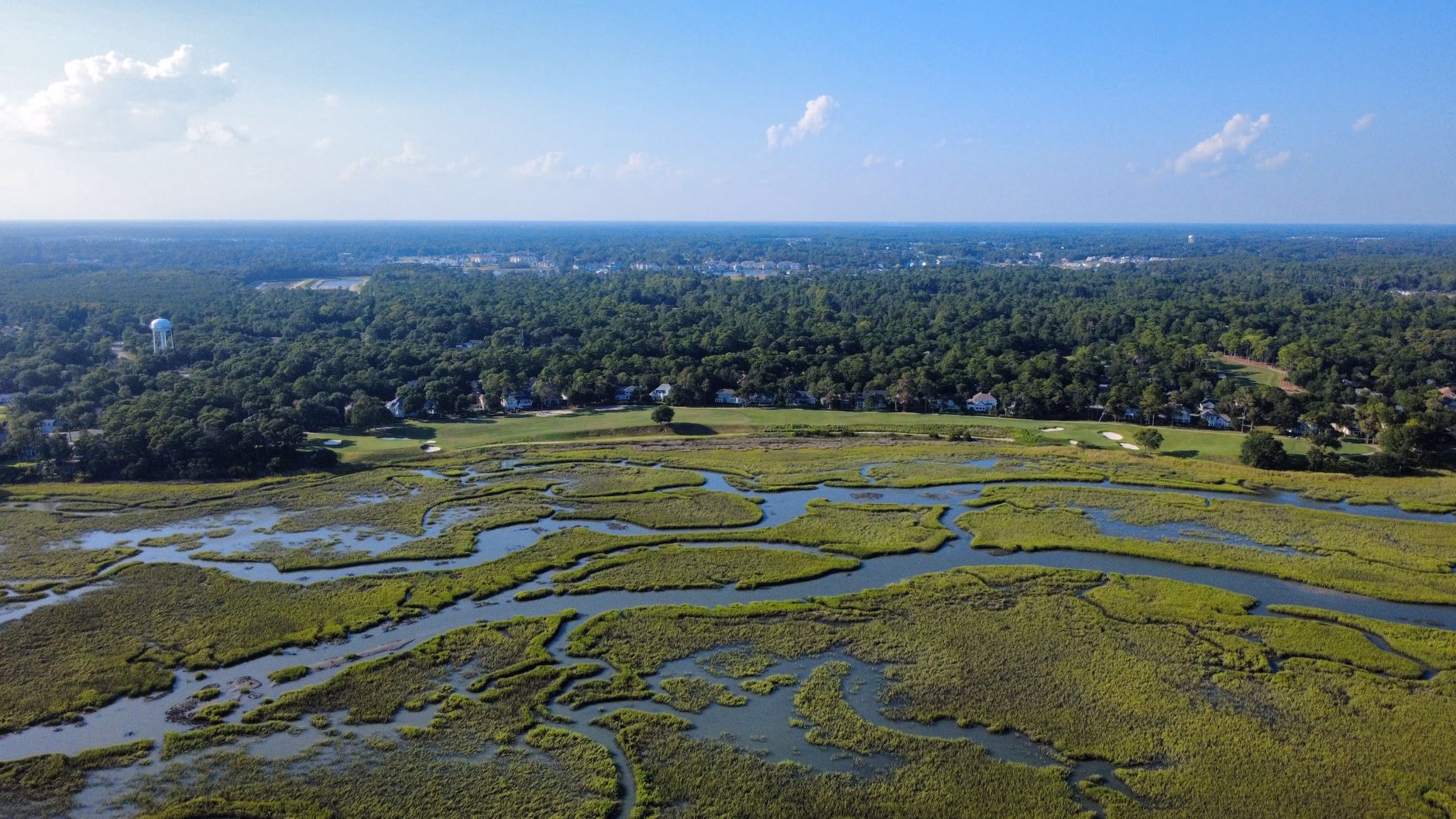 25 Best and Fun things to do in summerville sc