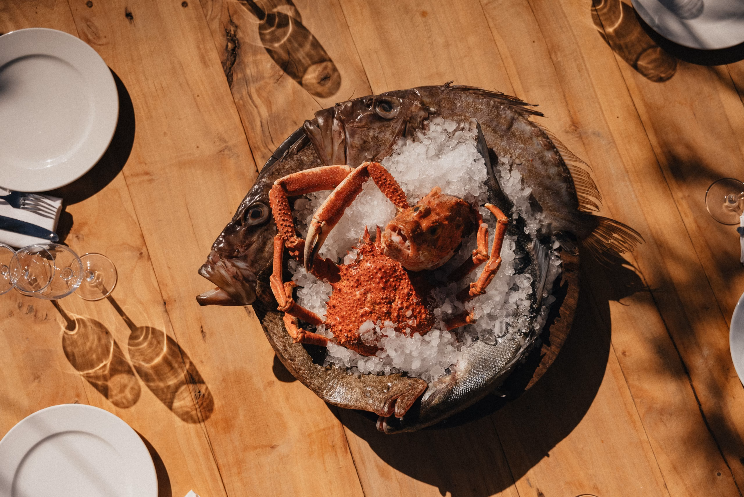 Dine on fresh seafood at the iconic Casa D'Angelo.
