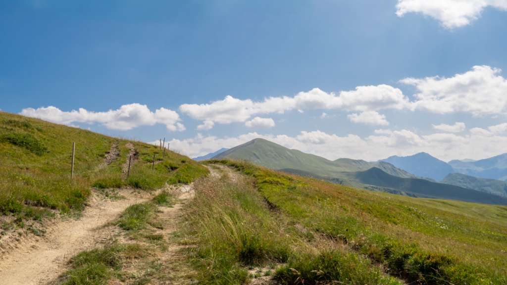 A winding trail in the Ouachita National Forest near Hot Springs