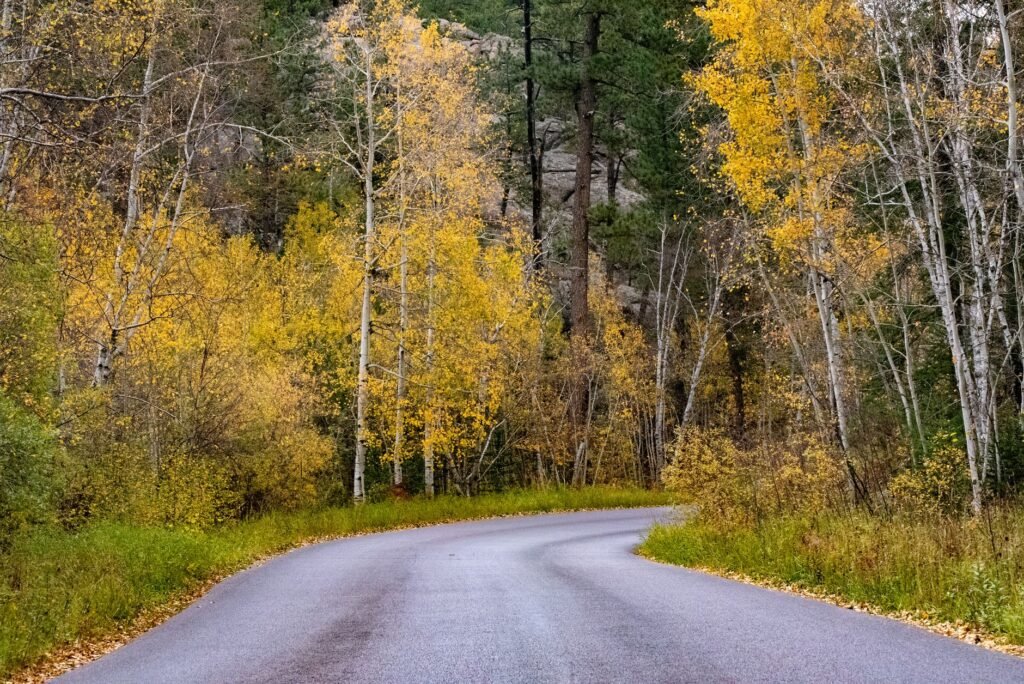 Autumn colors blanket the Black Hills surrounding Hill City