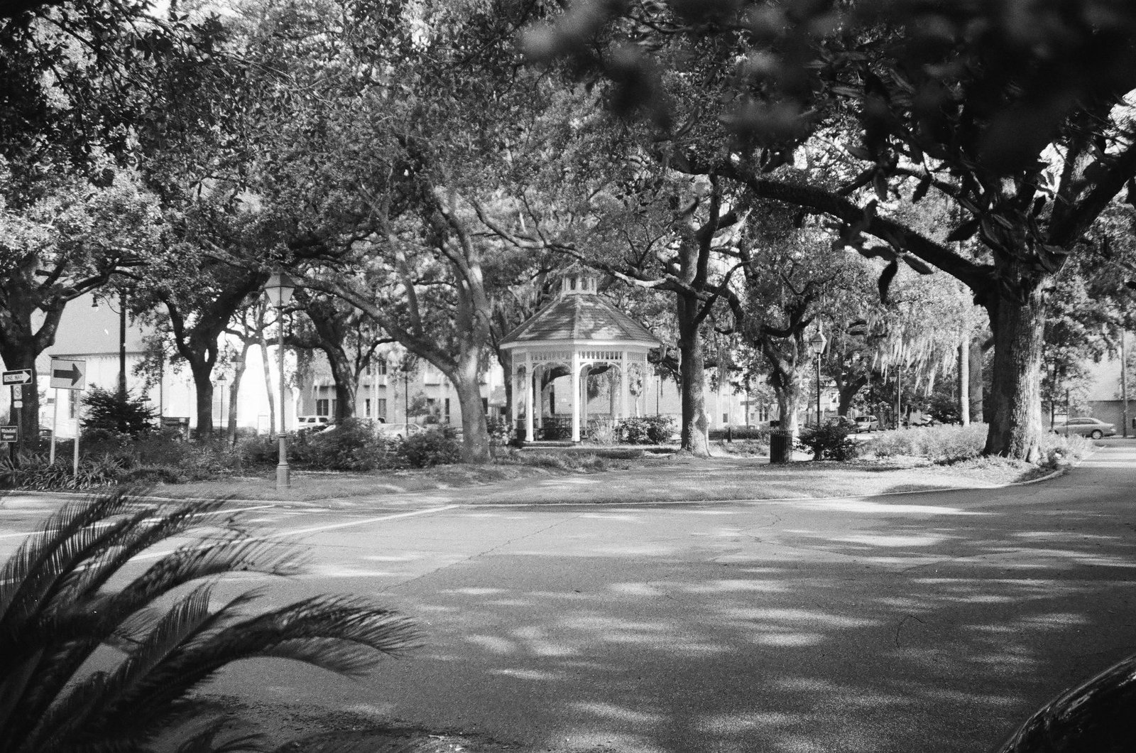 Black and white image of gazebo surrounded by trees in Savannah's Whitefield Square