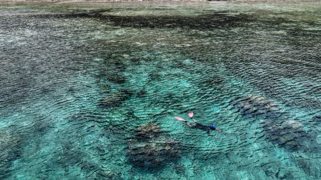 Colorful reef teeming with tropical fish off Bimini