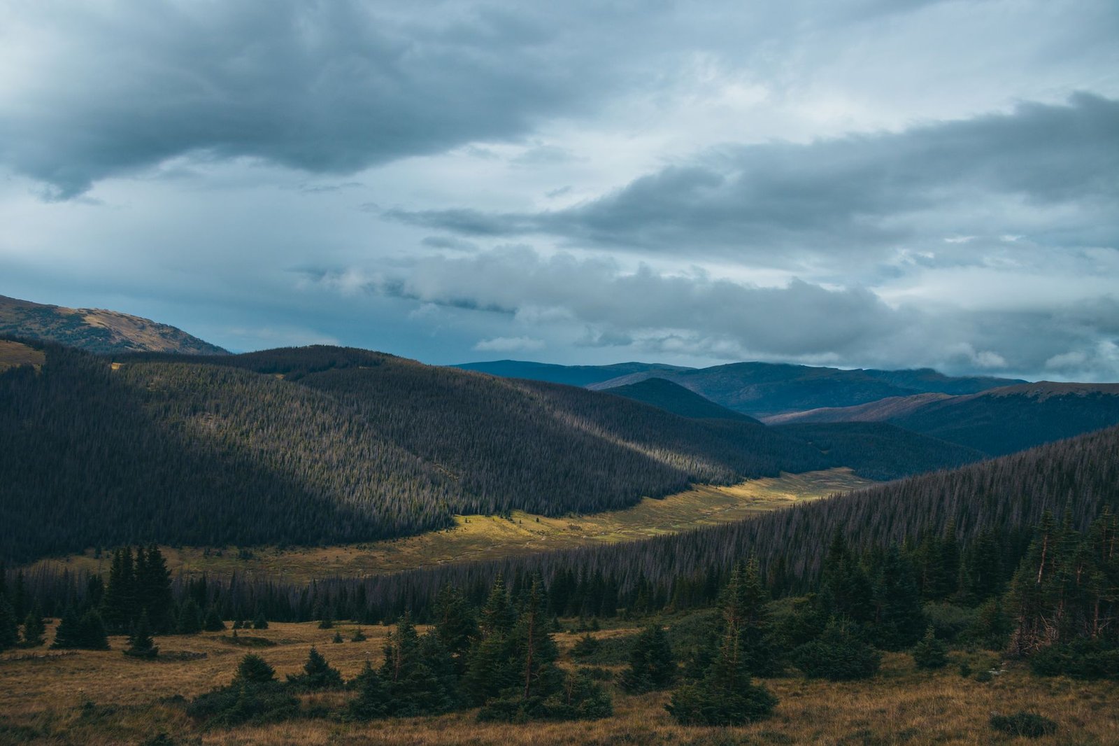Expansive view of lush valley and mountains under a cloudy sky in Rocky Mountain National Park