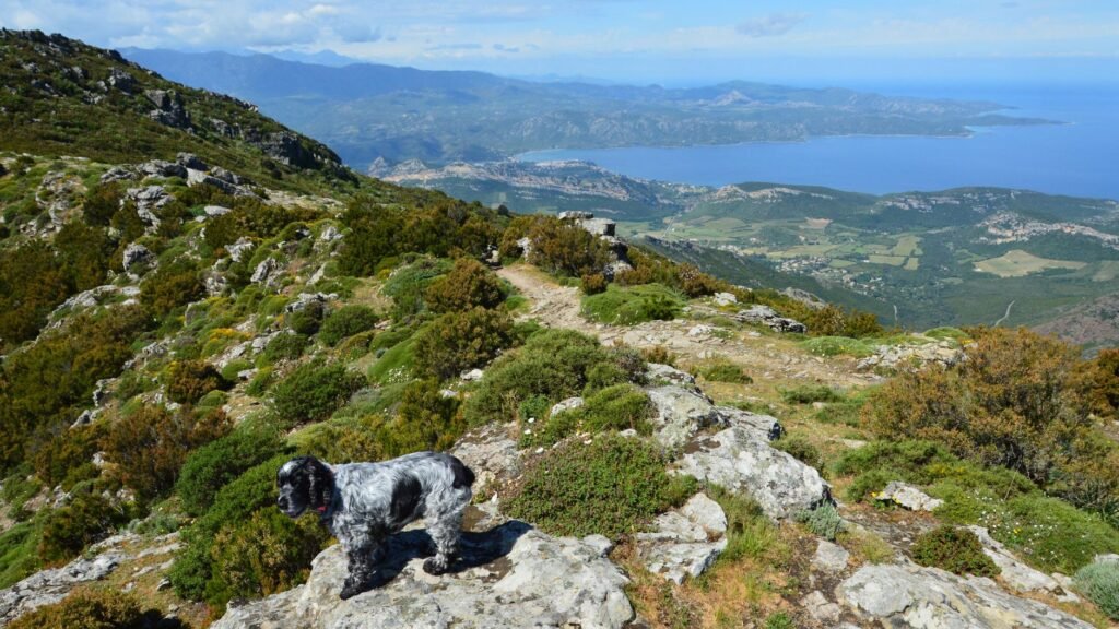 Hikers traverse the rugged paths of the GR20, one of Europe’s toughest trails