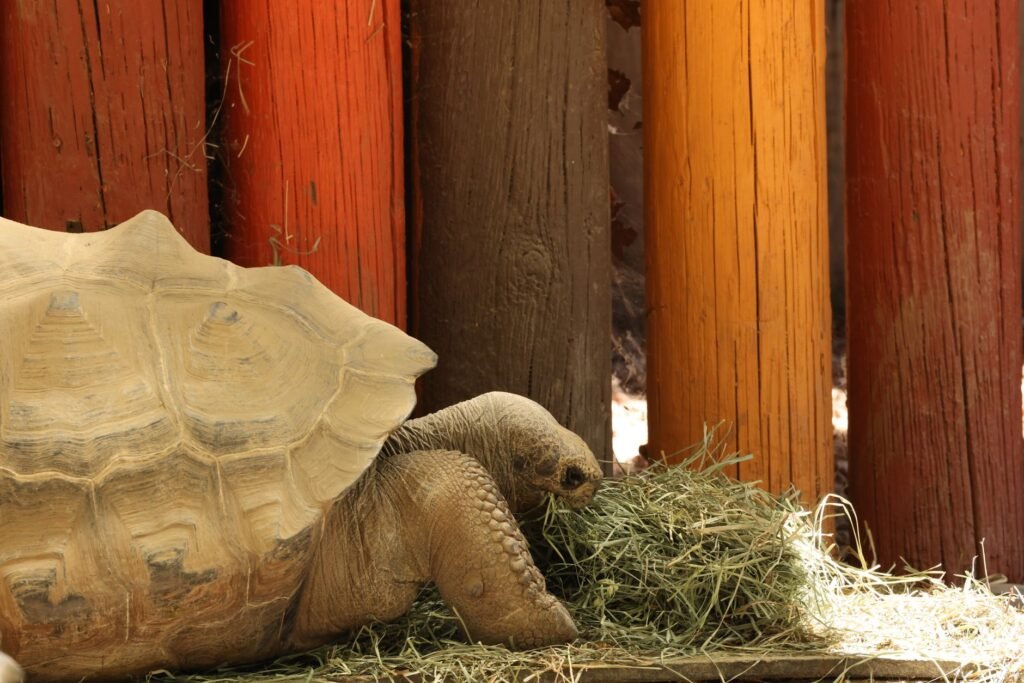Kids explore the lively animal exhibits at the Baton Rouge Zoo
