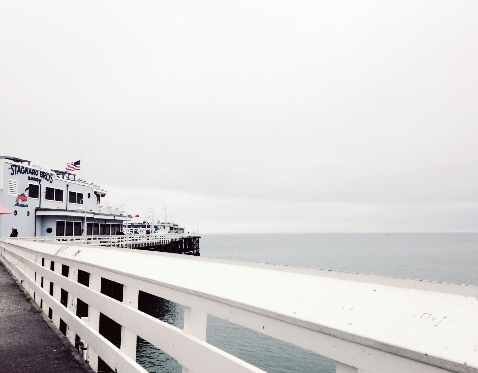 best restaurants in santa cruz