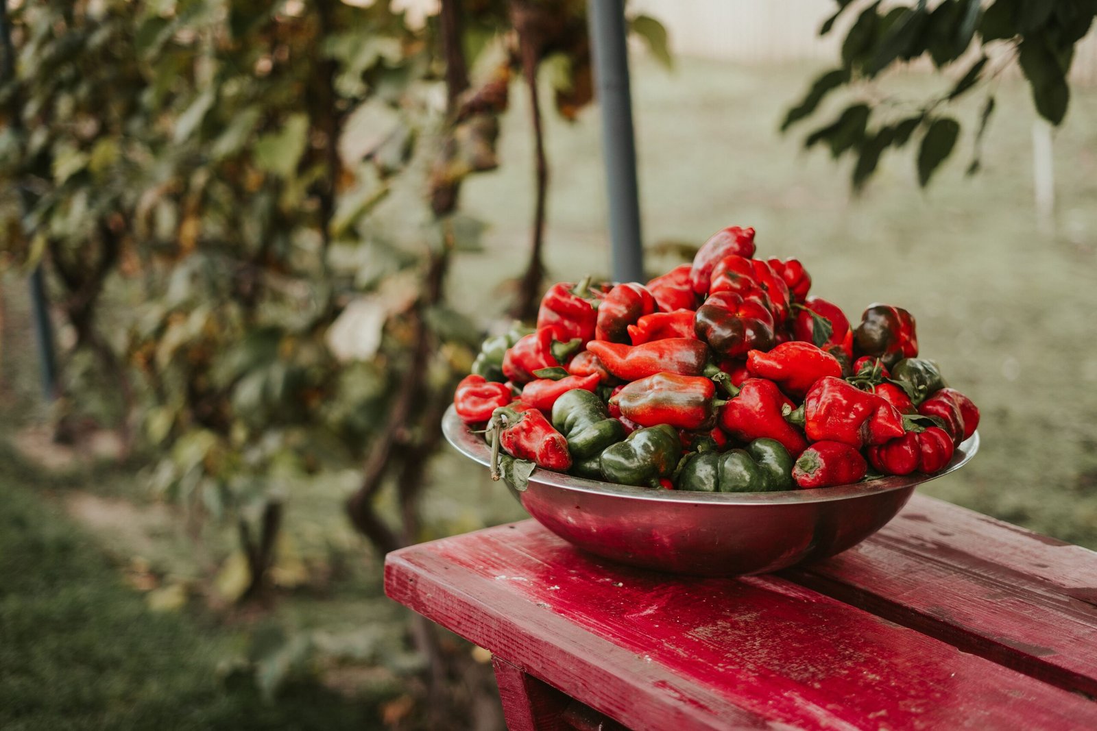 Experience farm-to-table cuisine at The Grange in Providence, highlighting local produce. Experience farm-to-table cuisine at The Grange in Providence, highlighting local produce.