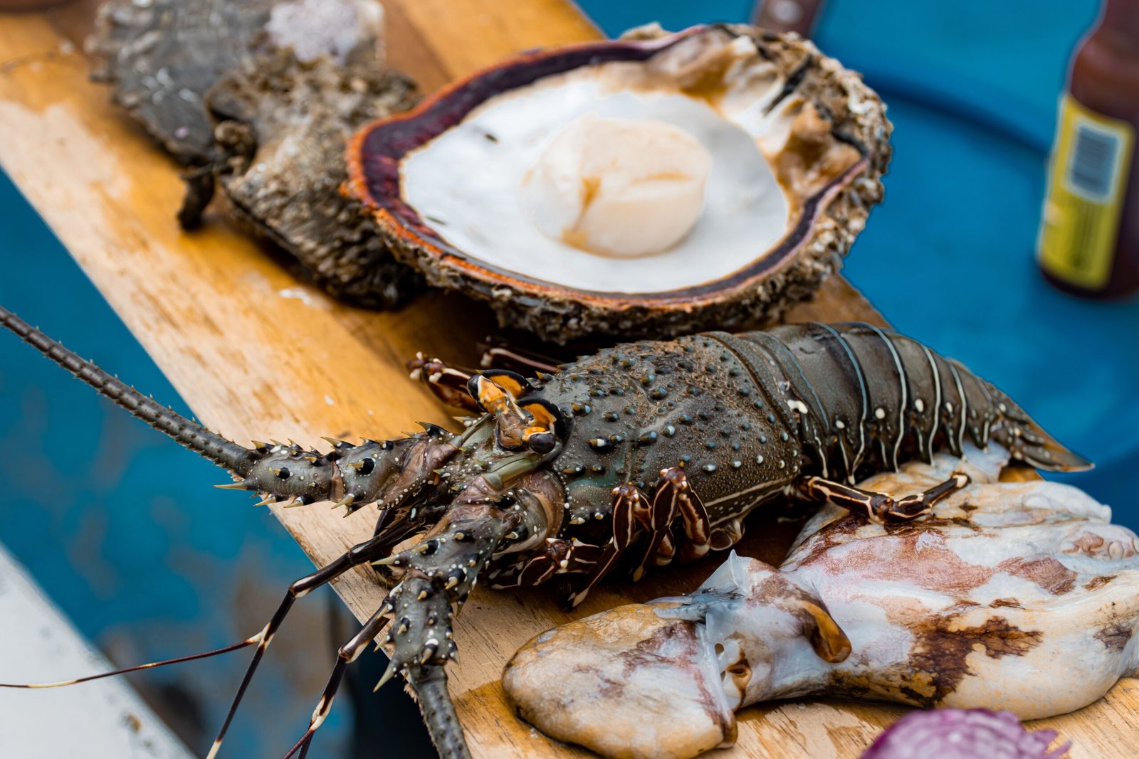 Relish the exotic flavors at Shrimpy's Lobster & Fish Market. Relish the exotic flavors at Shrimpy's Lobster & Fish Market.