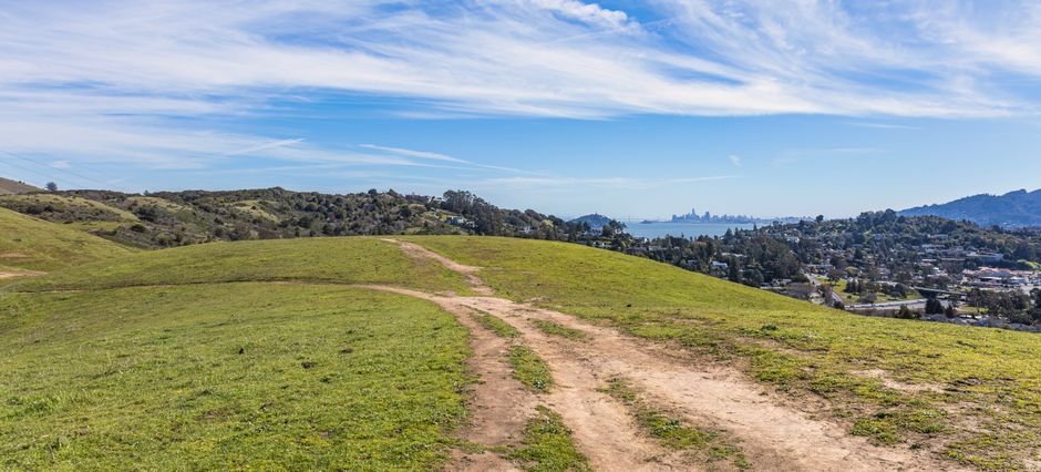 things to do in san marcos ca
