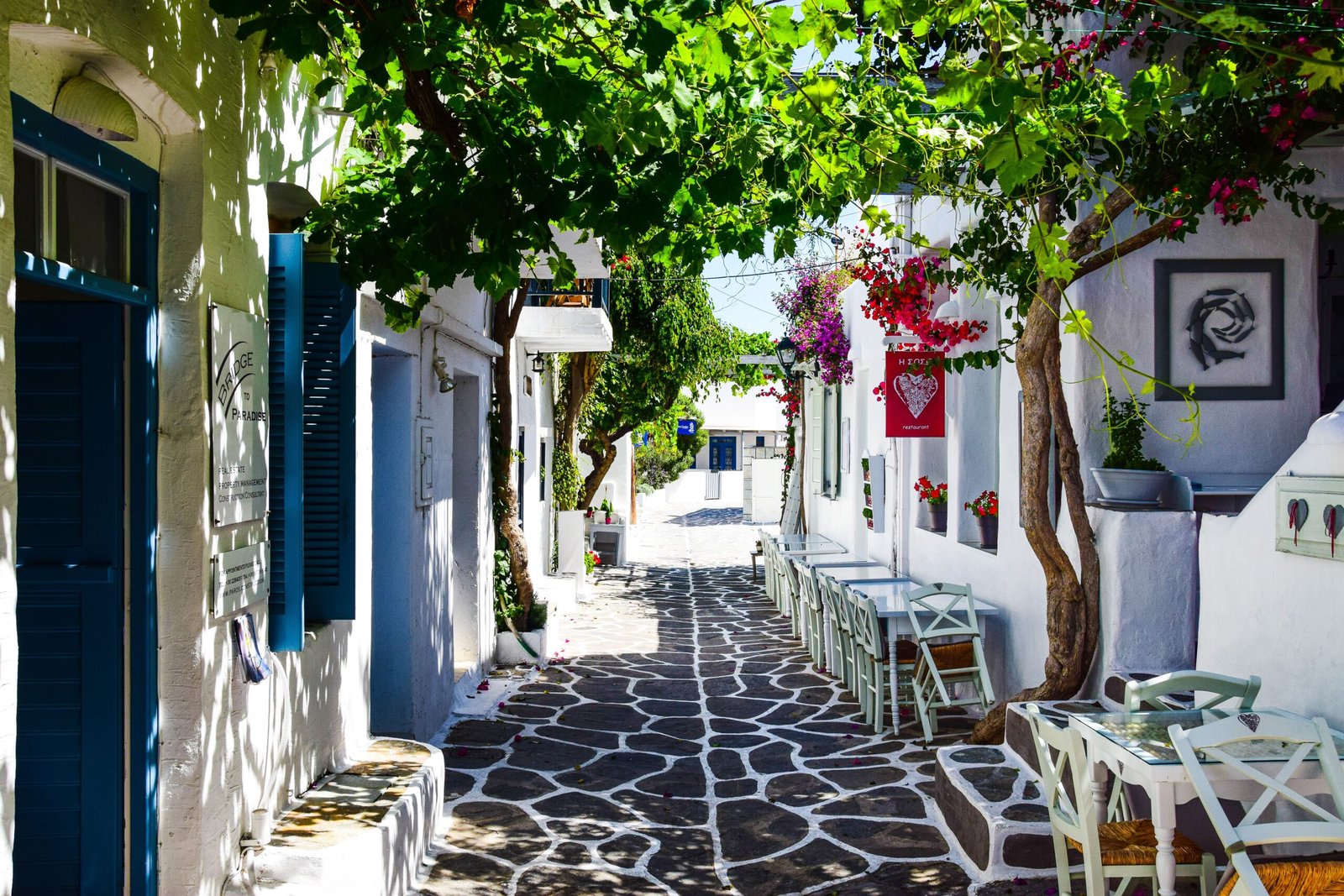 Visit **Kokkino Kati** in Pyrgos for authentic Cycladic flavors in a cozy atmosphere. Visit **Kokkino Kati** in Pyrgos for authentic Cycladic flavors in a cozy atmosphere.