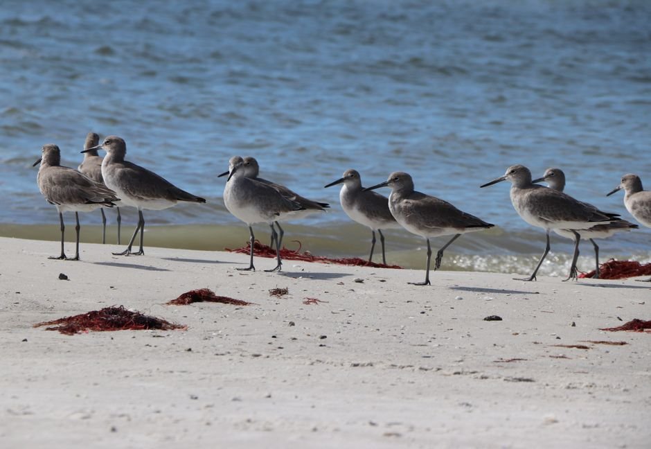 things to do in port lavaca