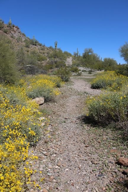 things to do in maricopa az