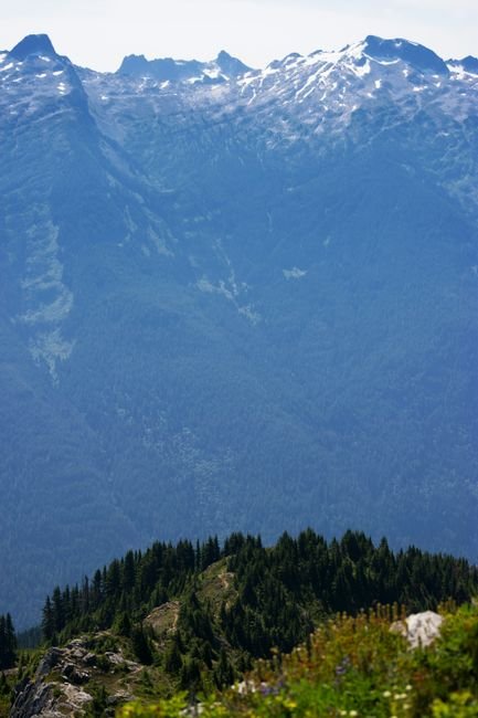 things to do in packwood wa