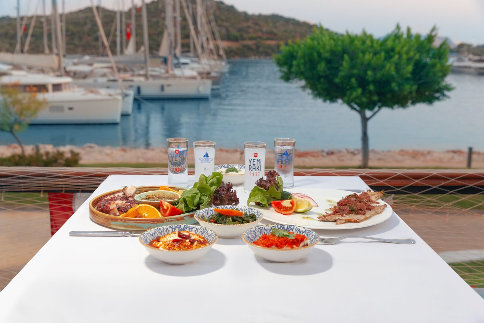 Enjoy fresh seafood with waterfront views at La Mar by Gastón Acurio.