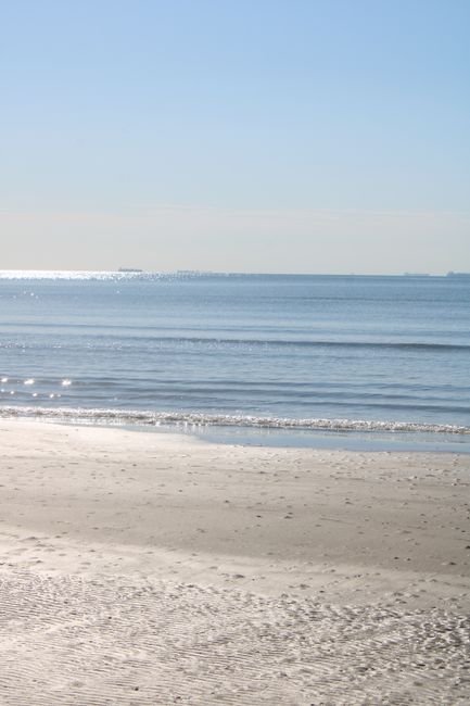 things to do in pinellas county this weekend