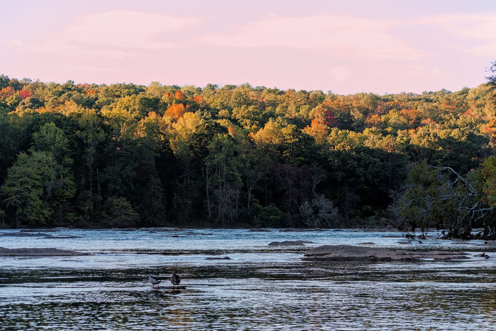 Enjoy a candlelit dinner at Canoe along the Chattahoochee River.