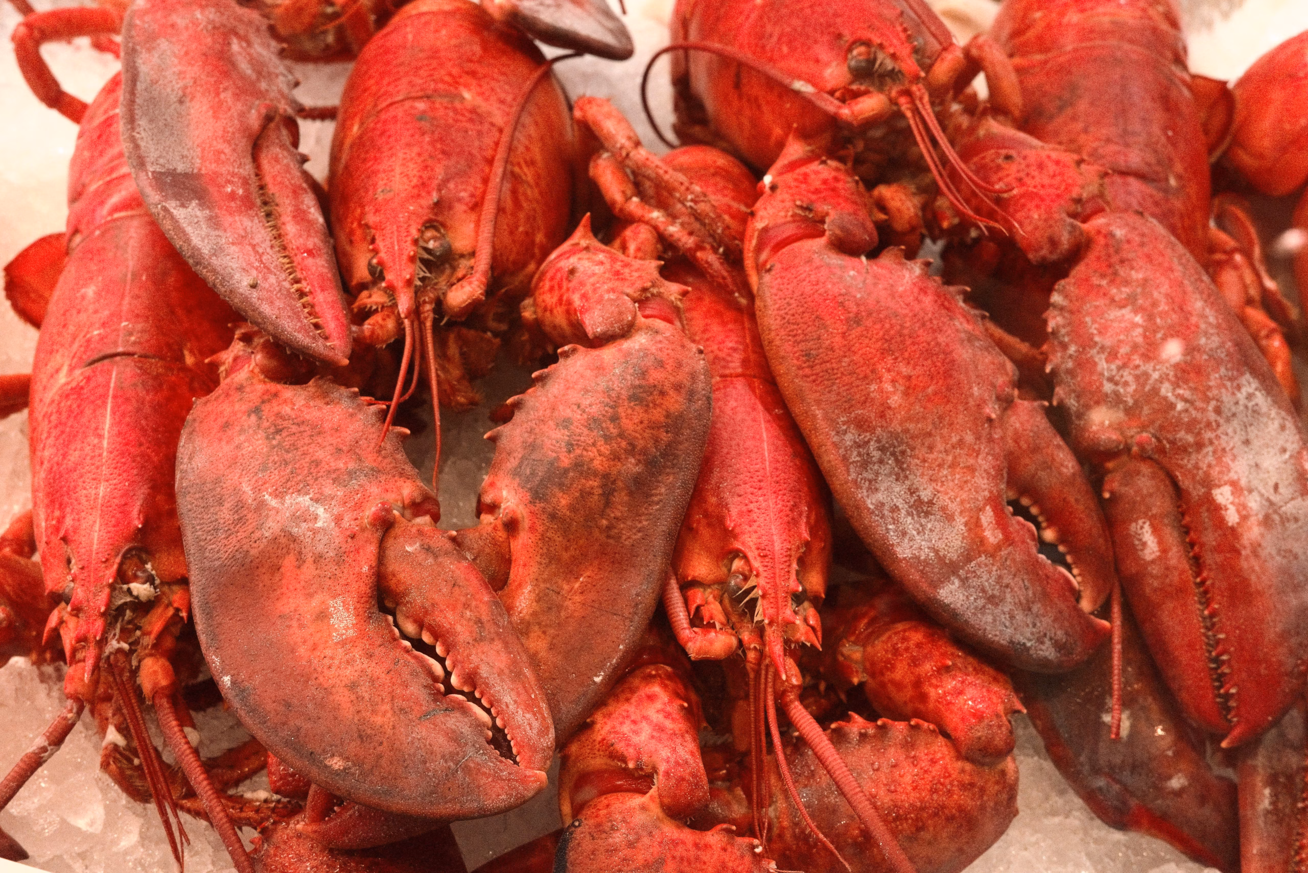 Enjoy fresh seafood at **The Lobster House** in Cape May, famous for its waterfront dining.