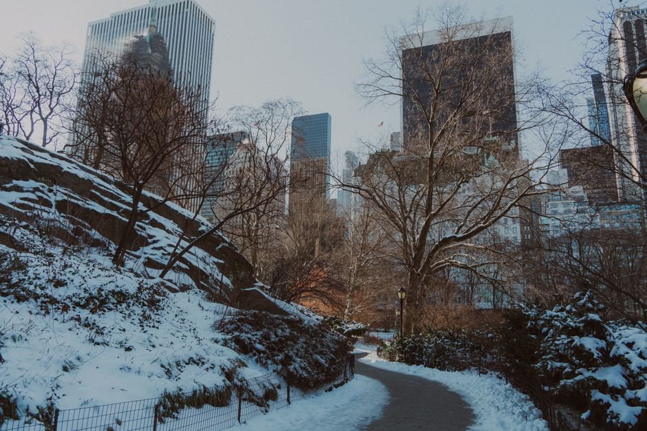 things to do in nyc in march