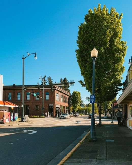 things to do in arlington heights
