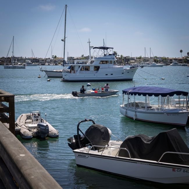 things to do in newport beach ca