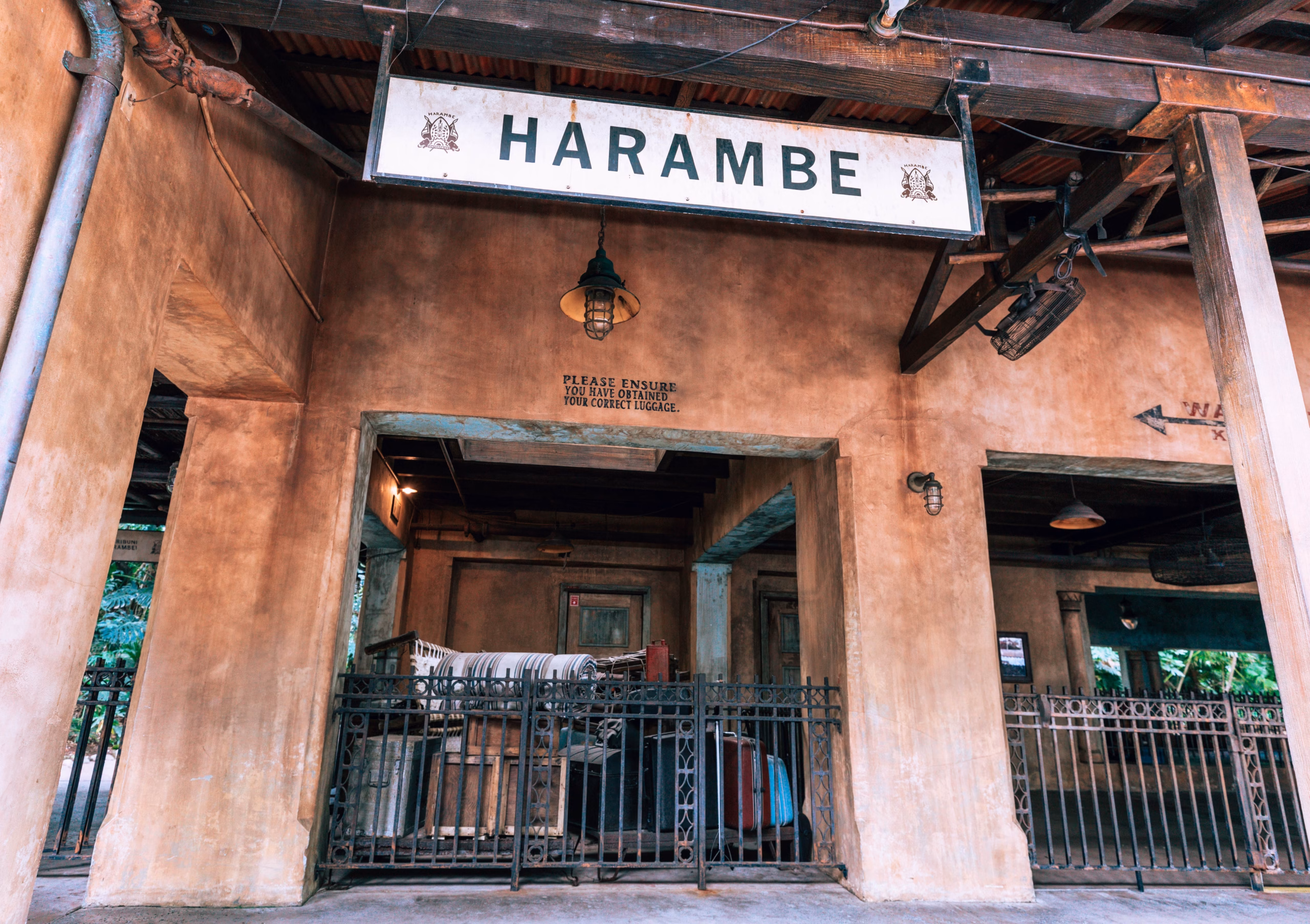 Dive into a buffet feast at Boma – Flavors of Africa in Disney’s Animal Kingdom Lodge.