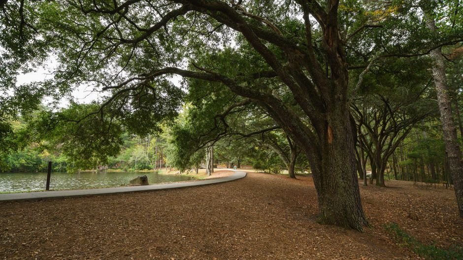 things to do in hinesville ga