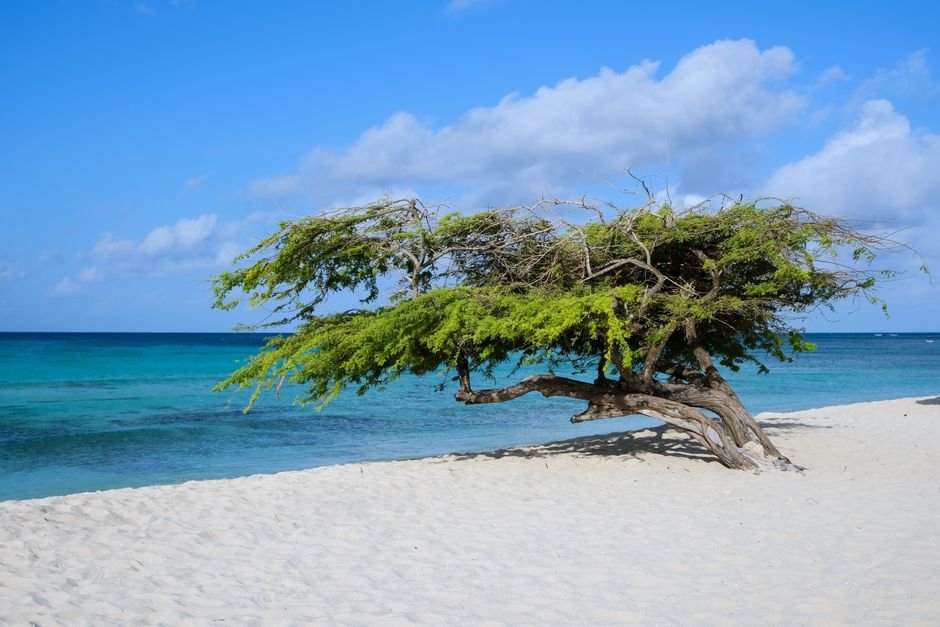 things to do in aruba for adults