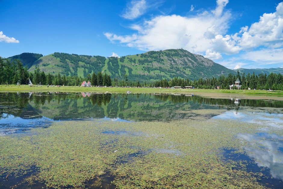 things to do in vermont in summer