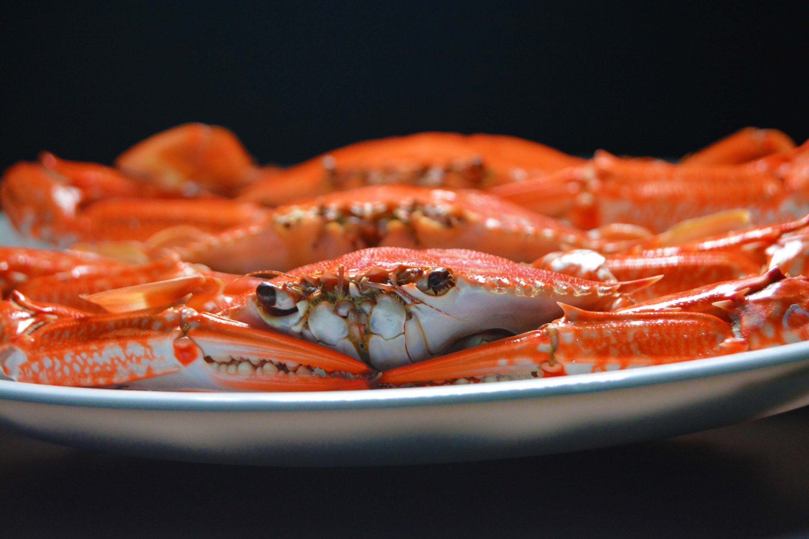 Savor fresh seafood and Southern specialties at The Crust and The Crumb.