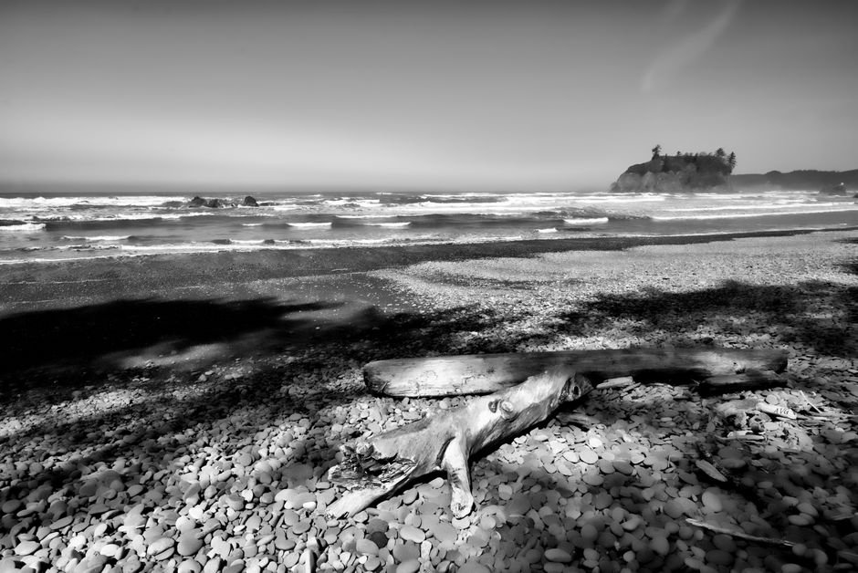 things to do in fort bragg ca