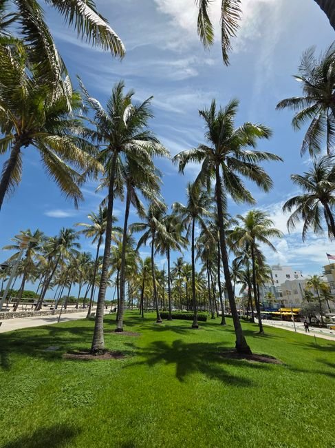 things to do in coral springs