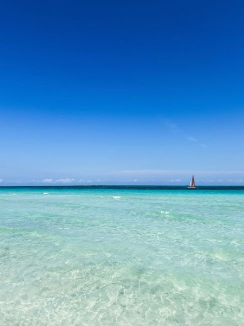 things to do in bocas del toro