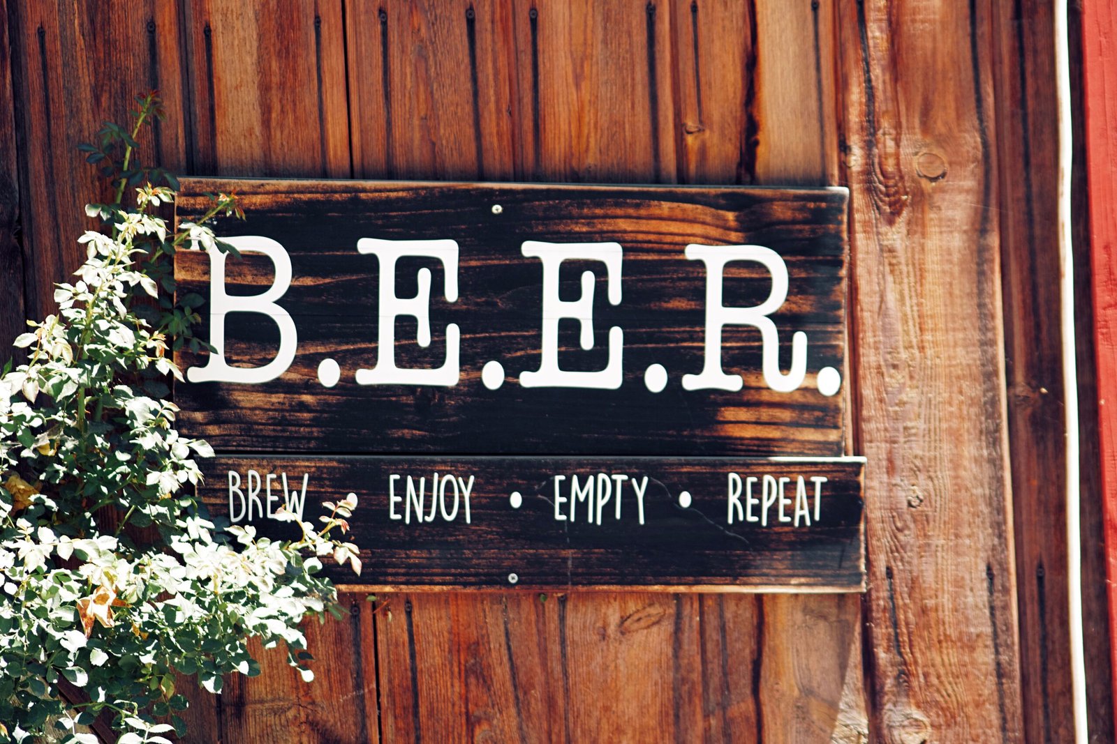 Enjoy a craft beer and classic pub fare at **The Abbey on Butler Street**.
