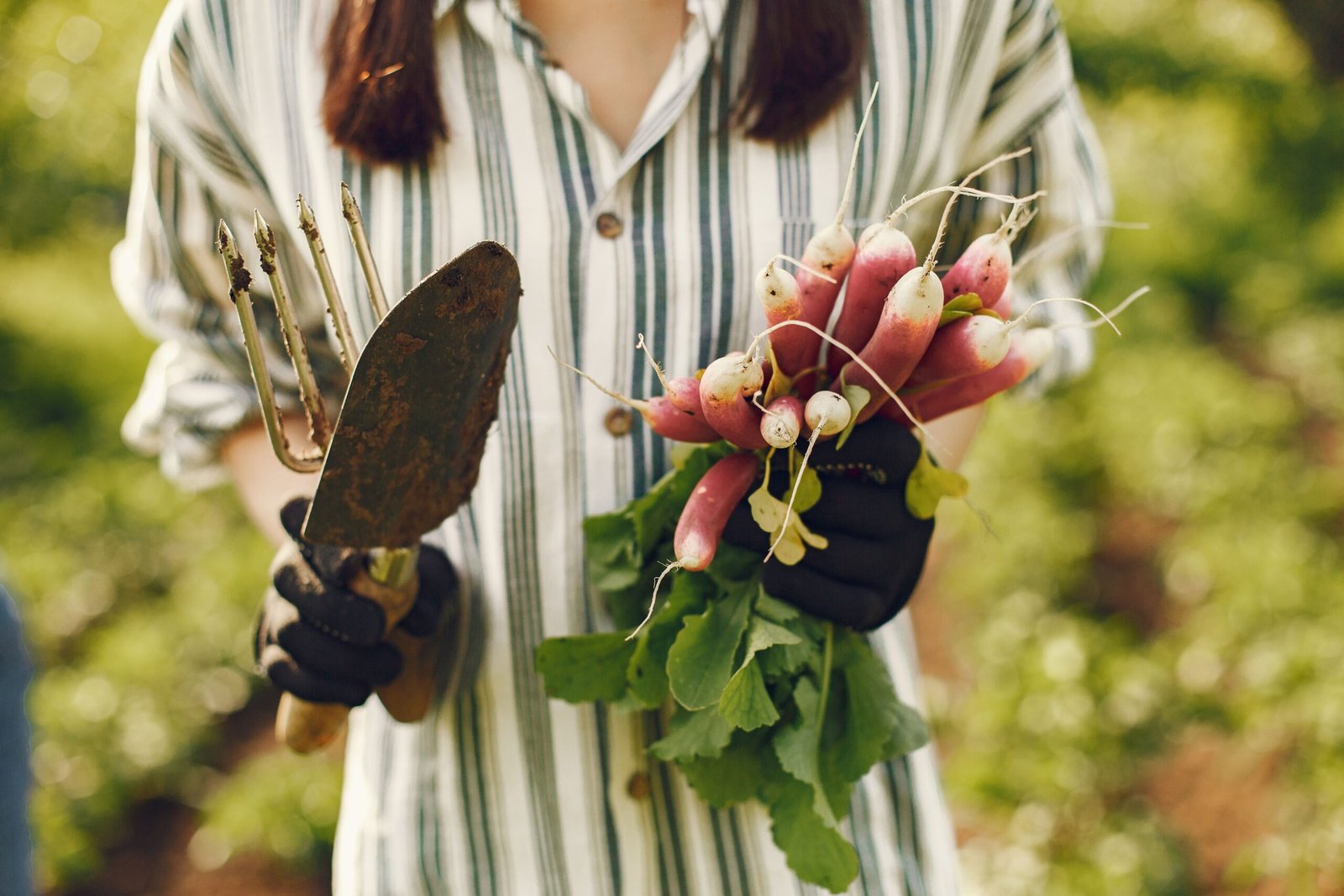 Enjoy farm-to-table dishes at Harvest at Root Candle in Sturgeon Bay.