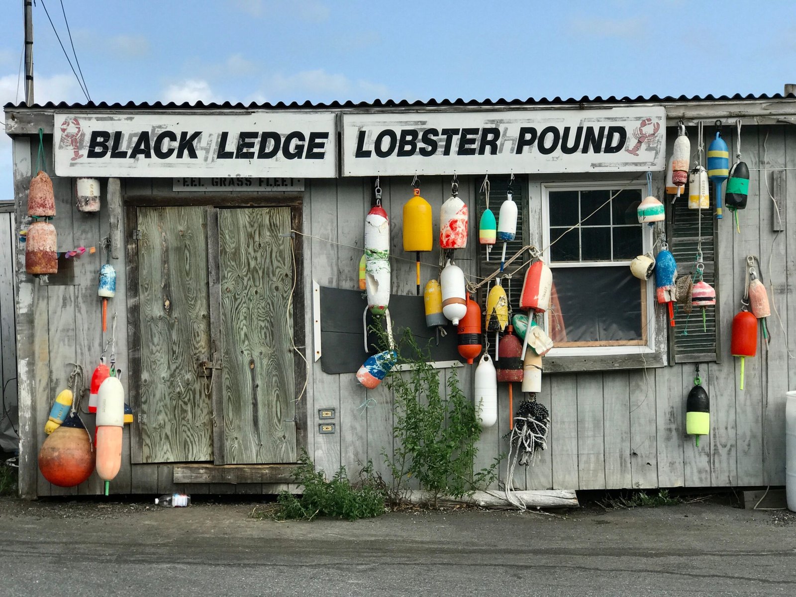 Discover seafood delights at **The Fish Shack** on the lively Dawson Street. Discover seafood delights at **The Fish Shack** on the lively Dawson Street.