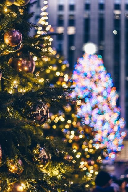 things to do in nyc for christmas