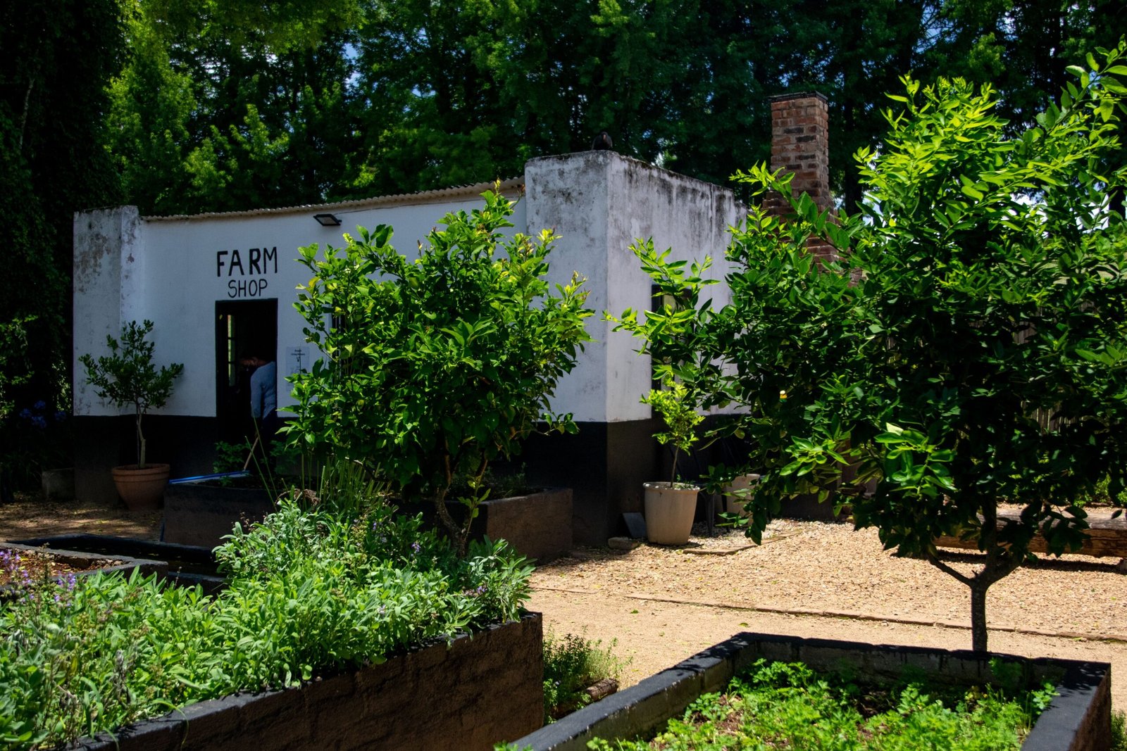 Delight in farm-to-table fare at The Rustic. Delight in farm-to-table fare at The Rustic.