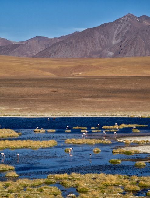 things to do in fallon nv