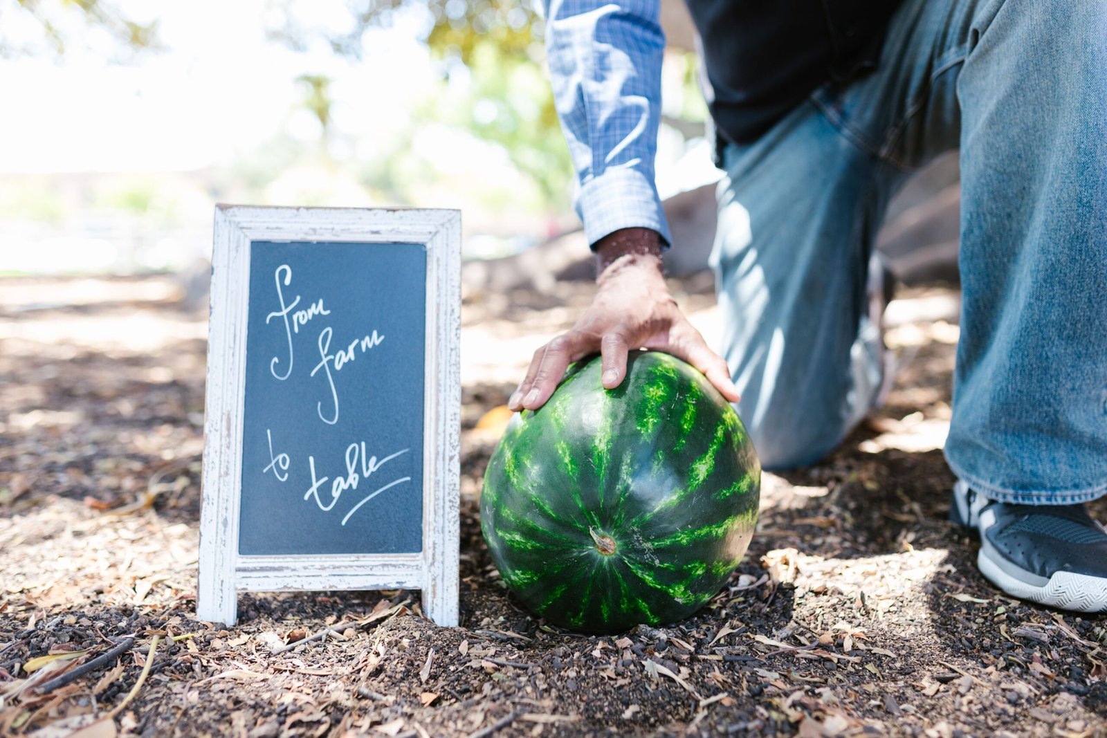 Delight in farm-to-table freshness at Local Yocal Farm to Market Delight in farm-to-table freshness at Local Yocal Farm to Market