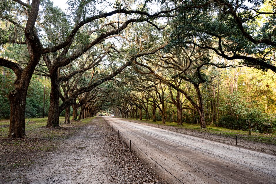 things to do in pass christian ms