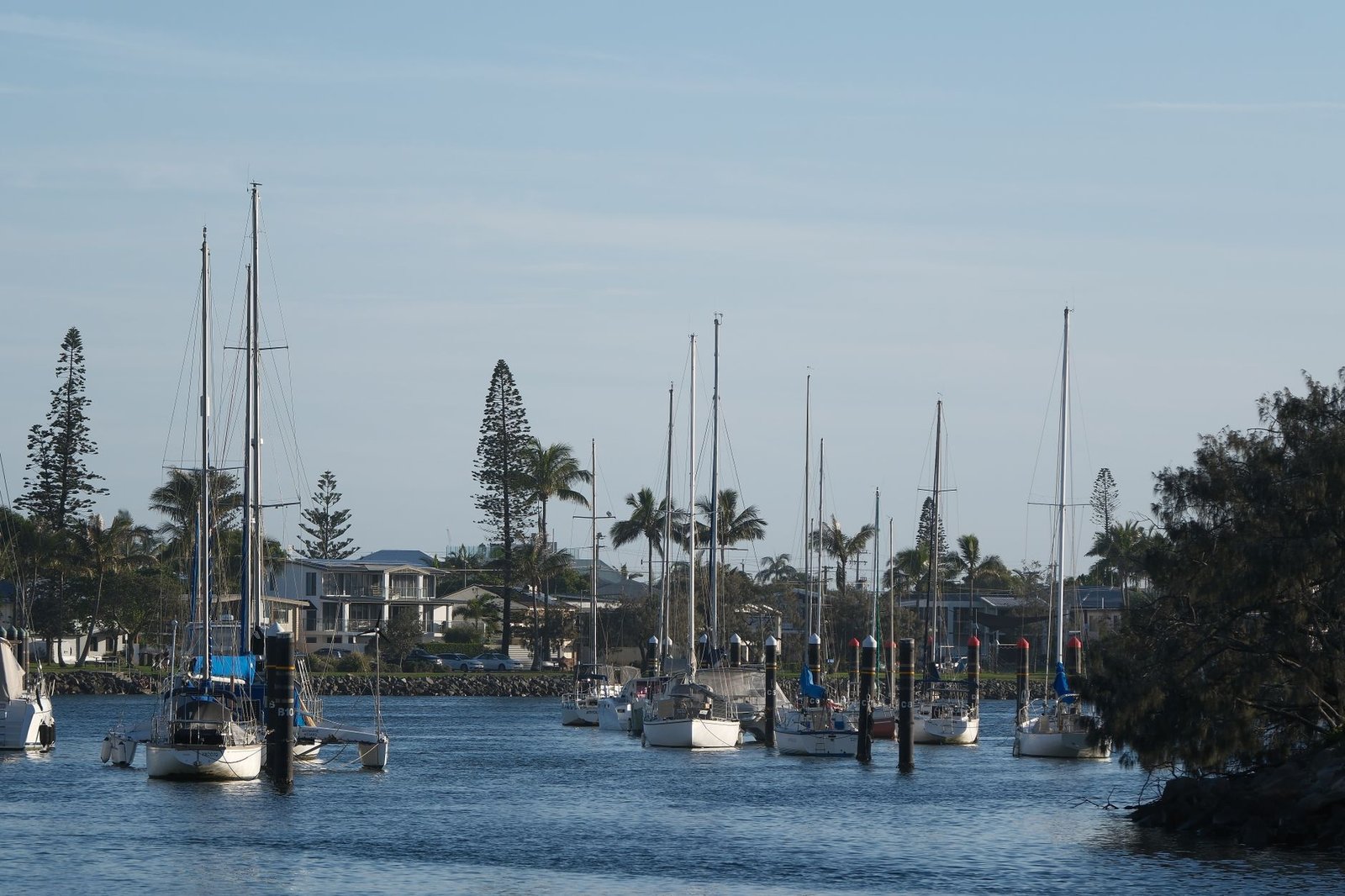 Scenic view of a marina with anchored sailboats lined up under a clear blue sky