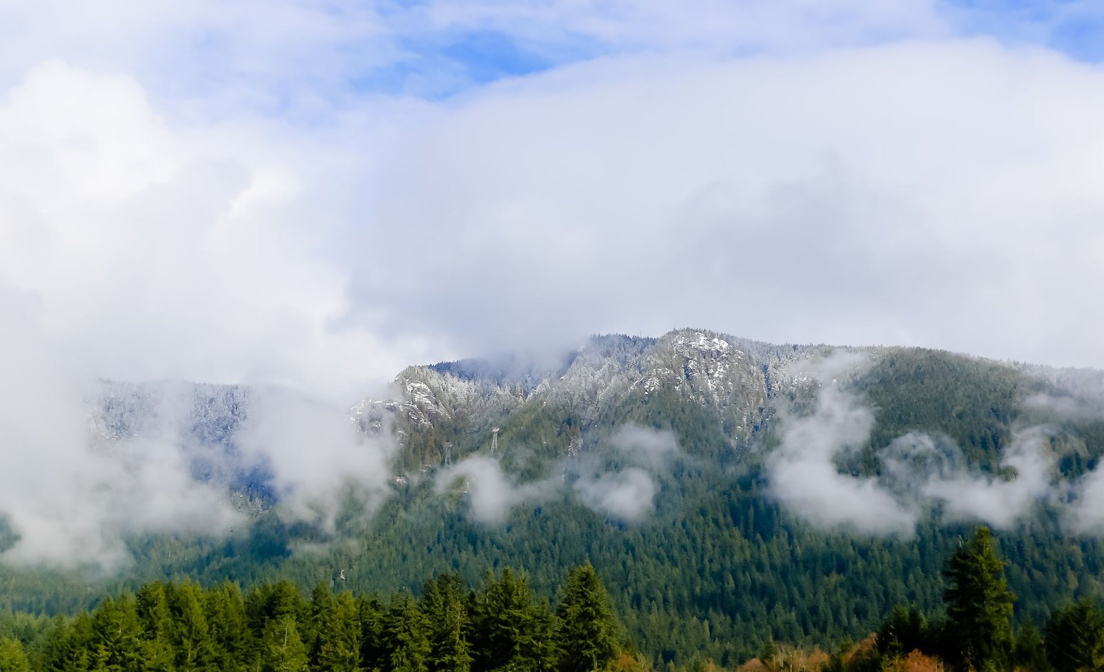 Stunning view of mist-covered mountains and lush forest under a vibrant sky