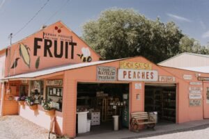 things to do in farmington nm