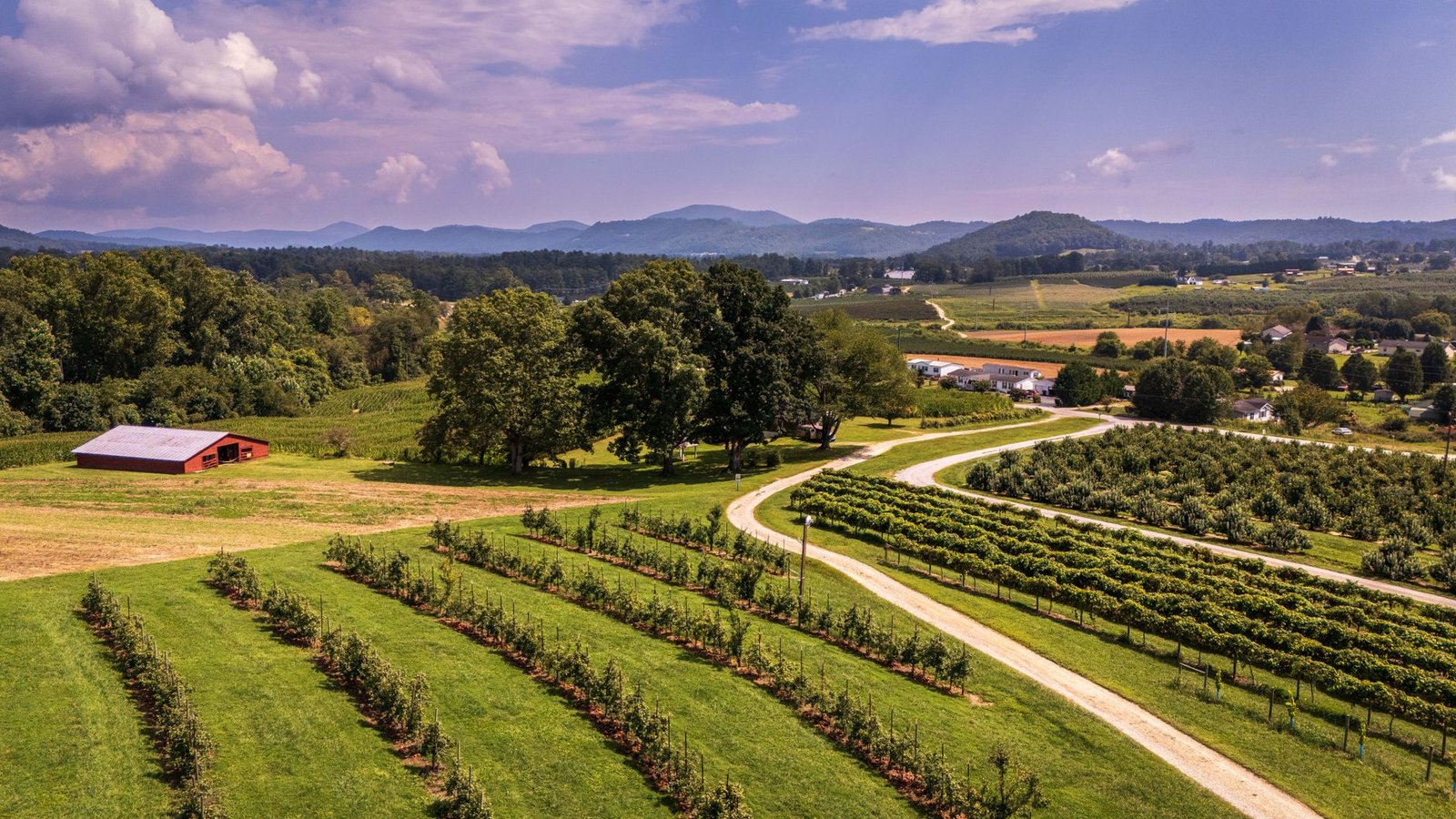 things to do in hendersonville tn