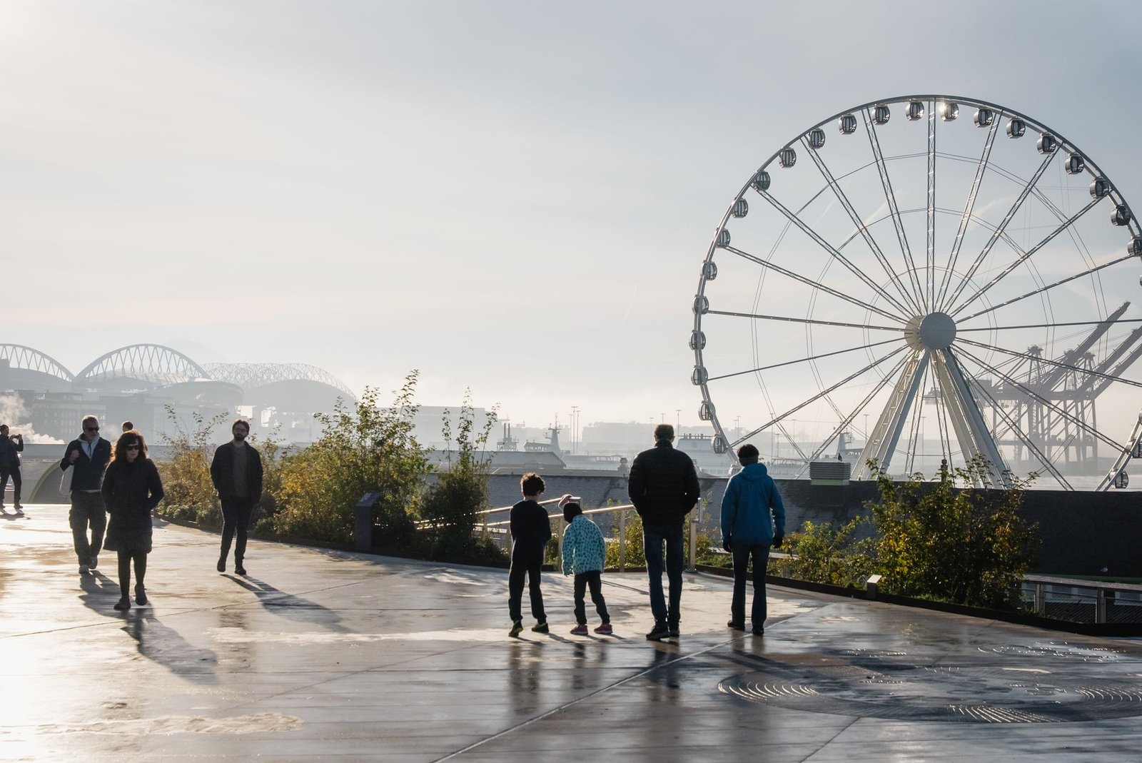 things to do in seattle for young adults