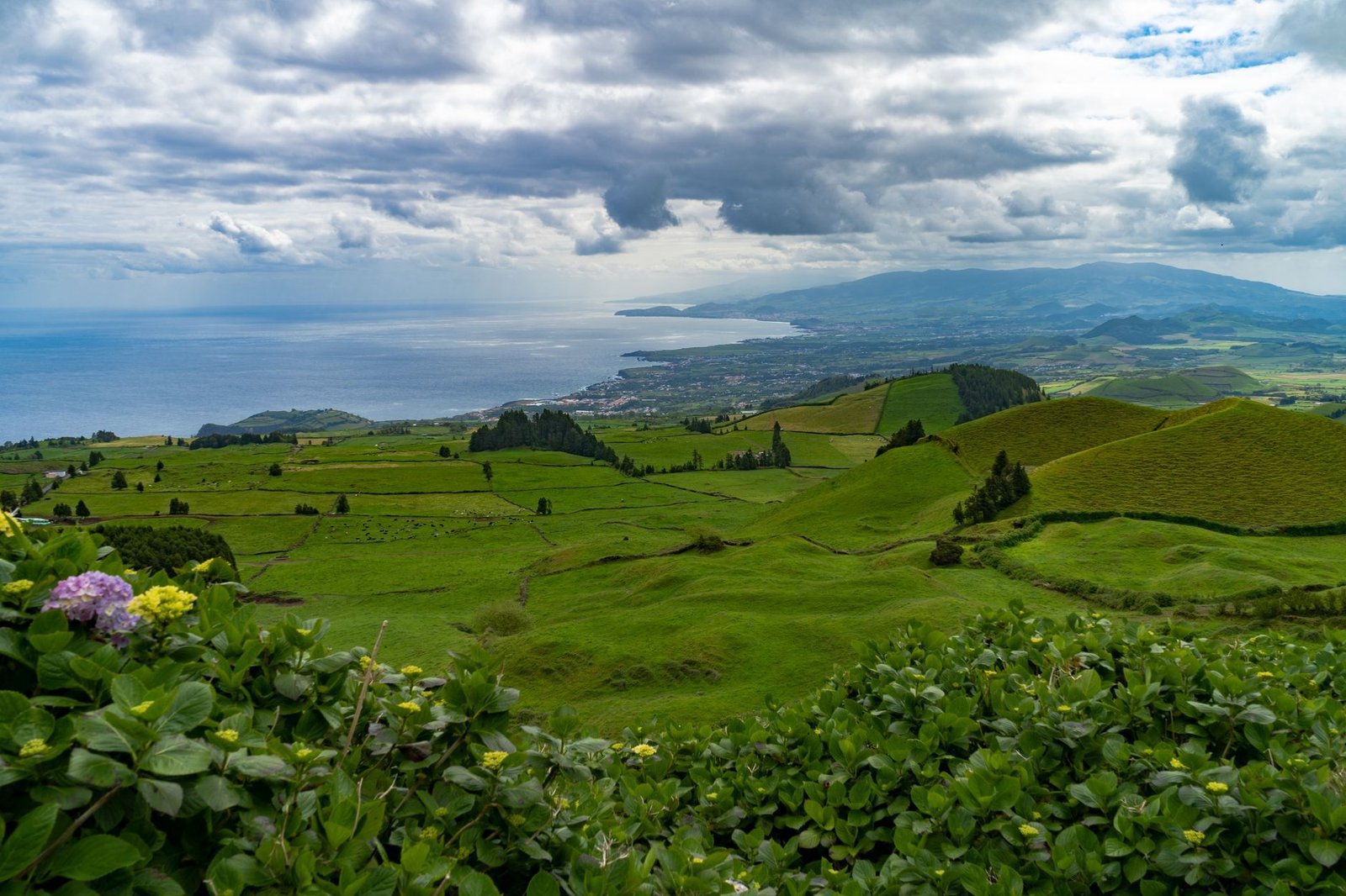 Vibrant green landscape with ocean view under a dramatic cloudy sky